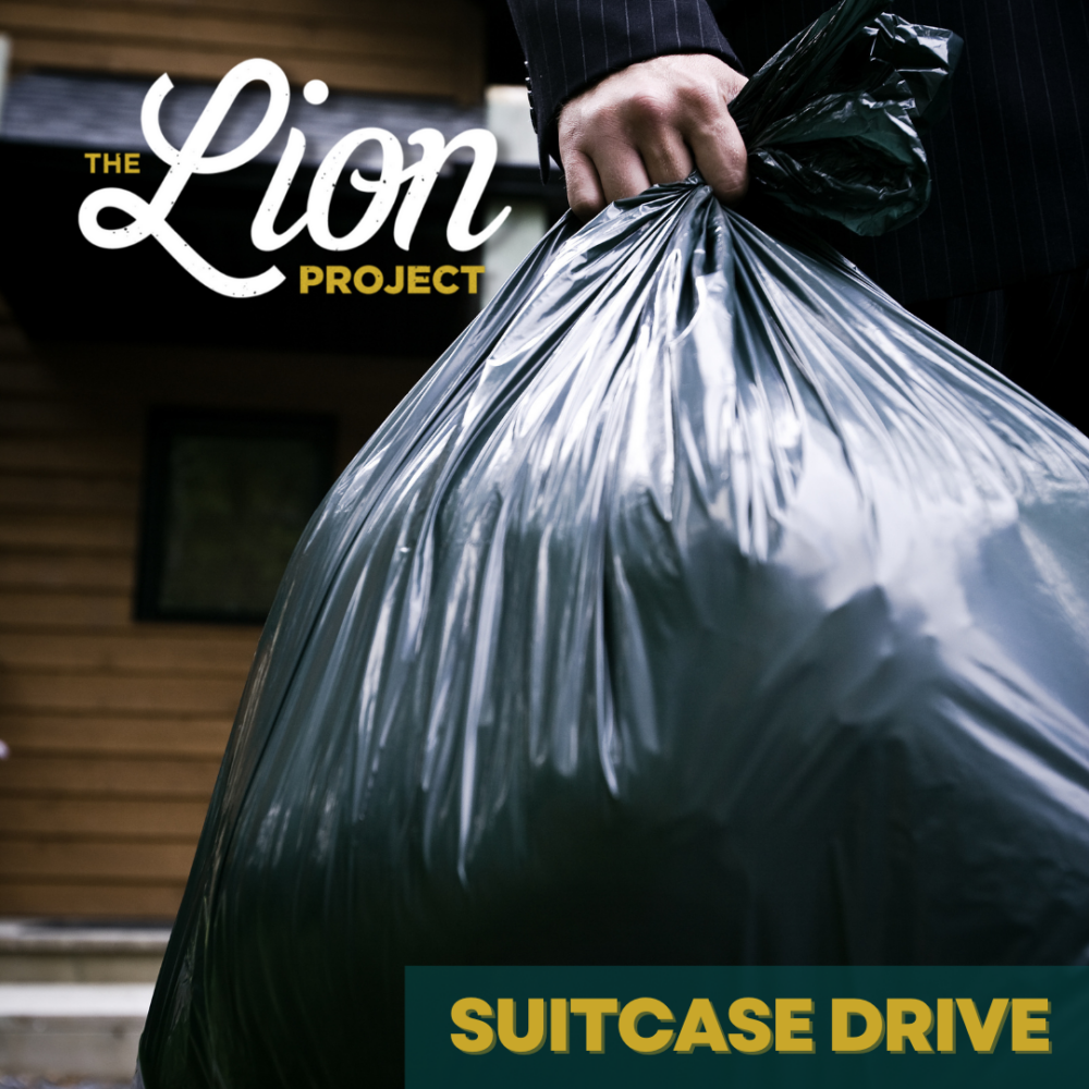 The Lion Project Suitcase Drive