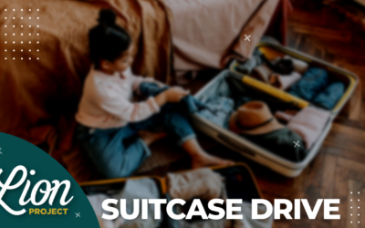 Suitcase Drive